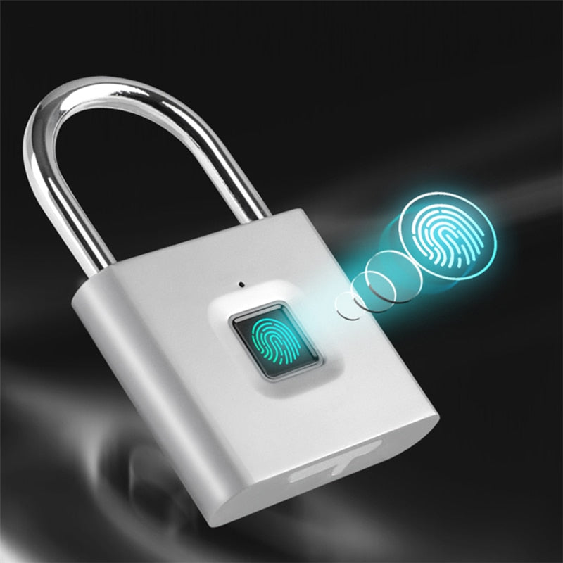 Business & Home Security