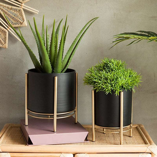 a potted plant is sitting on a shelf