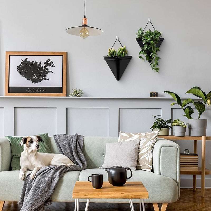 a living room filled with furniture and a potted plant