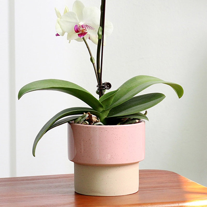 a flower arrangement in a vase on a table